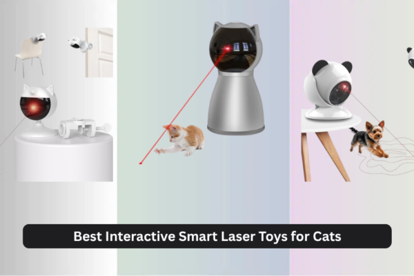 9 Best Interactive Smart Laser Toys for Cats 2026