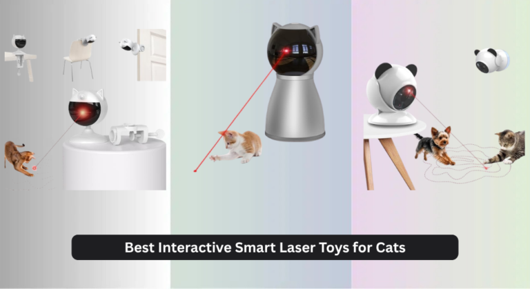 9 Best Interactive Smart Laser Toys for Cats 2026
