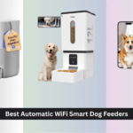 7 Best Automatic WiFi Smart Dog Feeders of 2026