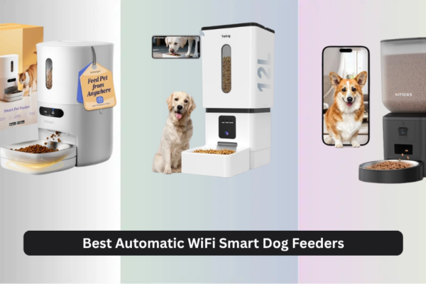 7 Best Automatic WiFi Smart Dog Feeders of 2026