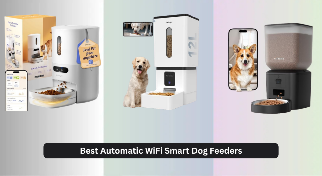 7 Best Automatic WiFi Smart Dog Feeders of 2026