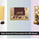 8 Best Assorted Chocolates for Gift Boxes 2026