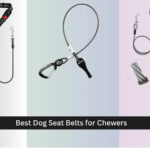 7 Best Dog Seat Belts for Chewers 2026