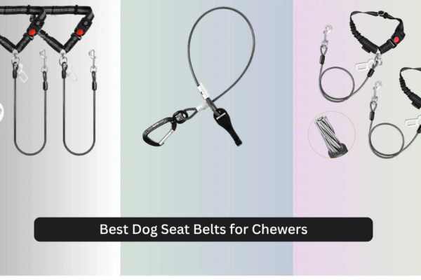 7 Best Dog Seat Belts for Chewers 2026