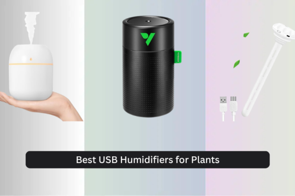 7 Best USB Humidifiers for Plants 2026