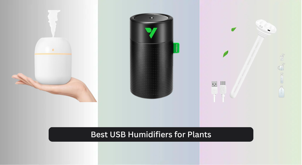 7 Best USB Humidifiers for Plants 2026