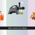 8 Best Juicers for Celery 2026