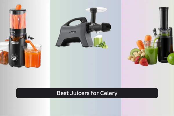 8 Best Juicers for Celery 2026