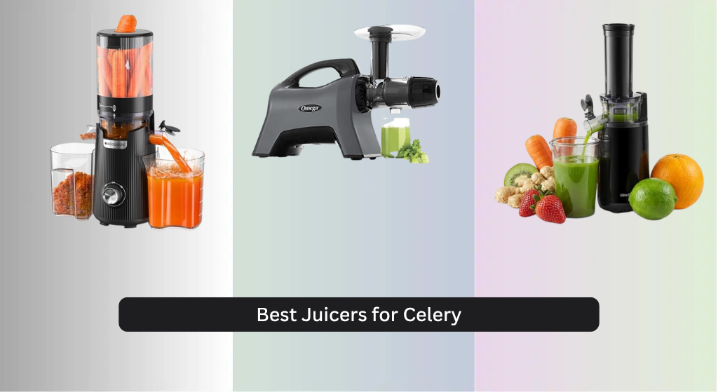 8 Best Juicers for Celery 2026