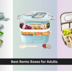 9 Best Bento Boxes for Adults 2026