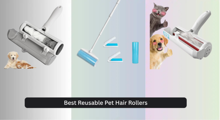 7 Best Reusable Pet Hair Rollers of 2026
