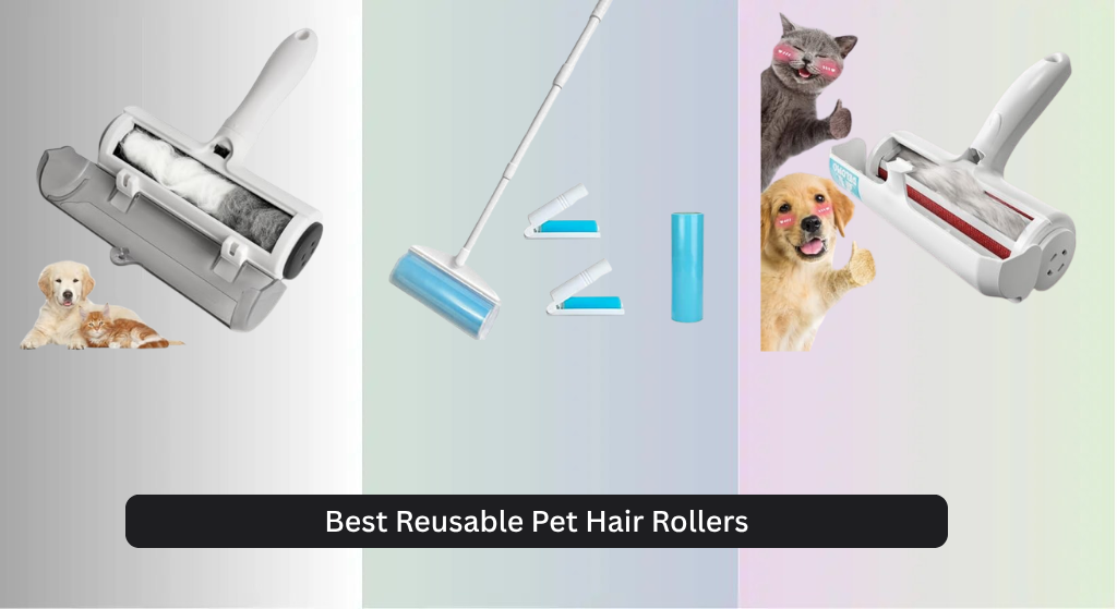 7 Best Reusable Pet Hair Rollers of 2026