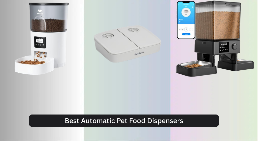 8 Best Automatic Pet Food Dispensers 2026