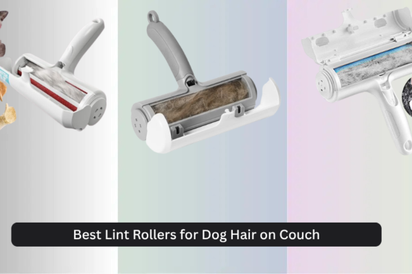 8 Best Lint Rollers for Dog Hair on Couch 2026