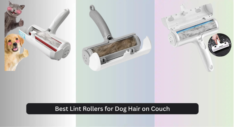 8 Best Lint Rollers for Dog Hair on Couch 2026