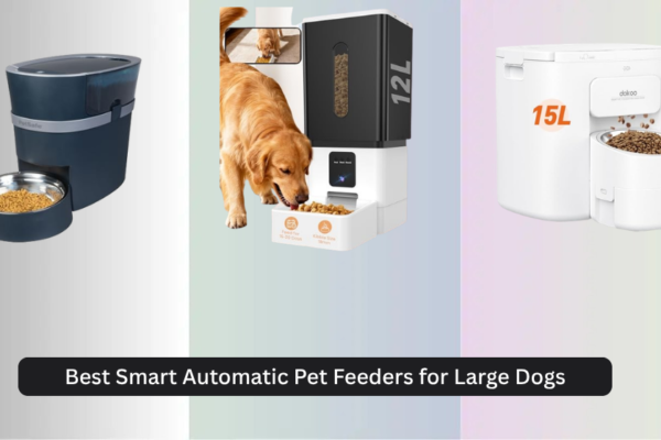 8 Best Smart Automatic Pet Feeders for Large Dogs 2026