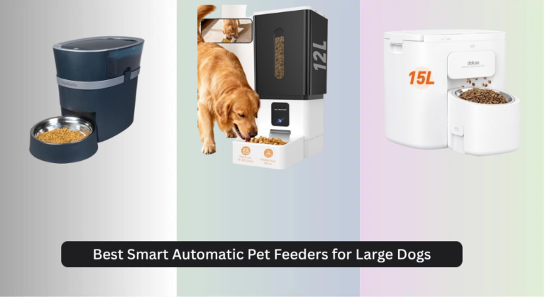 8 Best Smart Automatic Pet Feeders for Large Dogs 2026