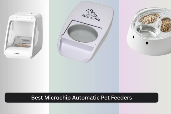 6 Best Microchip Automatic Pet Feeders 2026