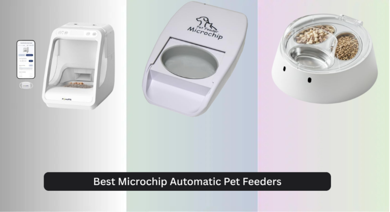 6 Best Microchip Automatic Pet Feeders 2026