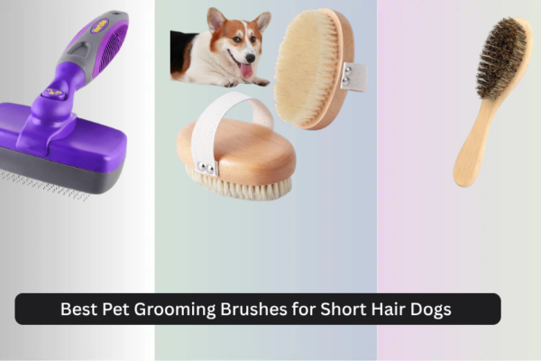 8 Best Pet Grooming Brushes for Short Hair Dogs 2026