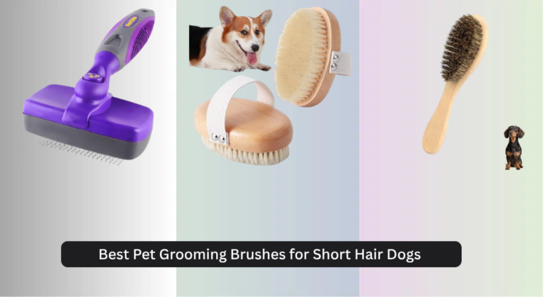 8 Best Pet Grooming Brushes for Short Hair Dogs 2026