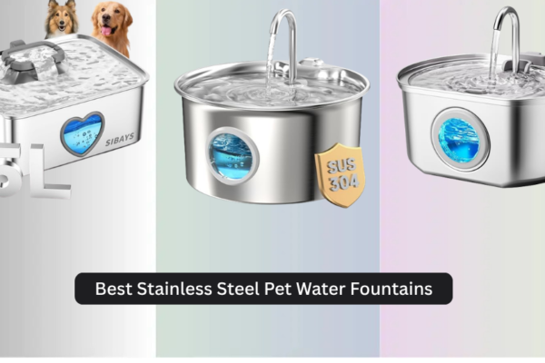 8 Best Stainless Steel Pet Water Fountains 2026