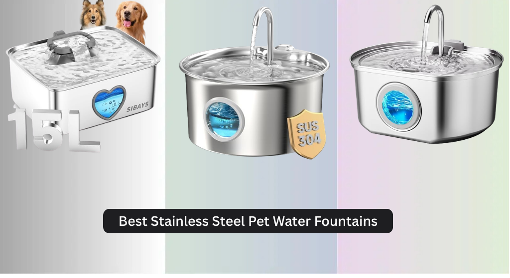8 Best Stainless Steel Pet Water Fountains 2026