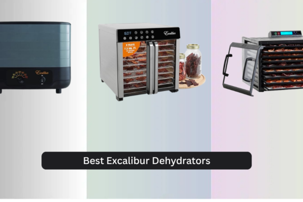 7 Best Excalibur Dehydrators of 2026