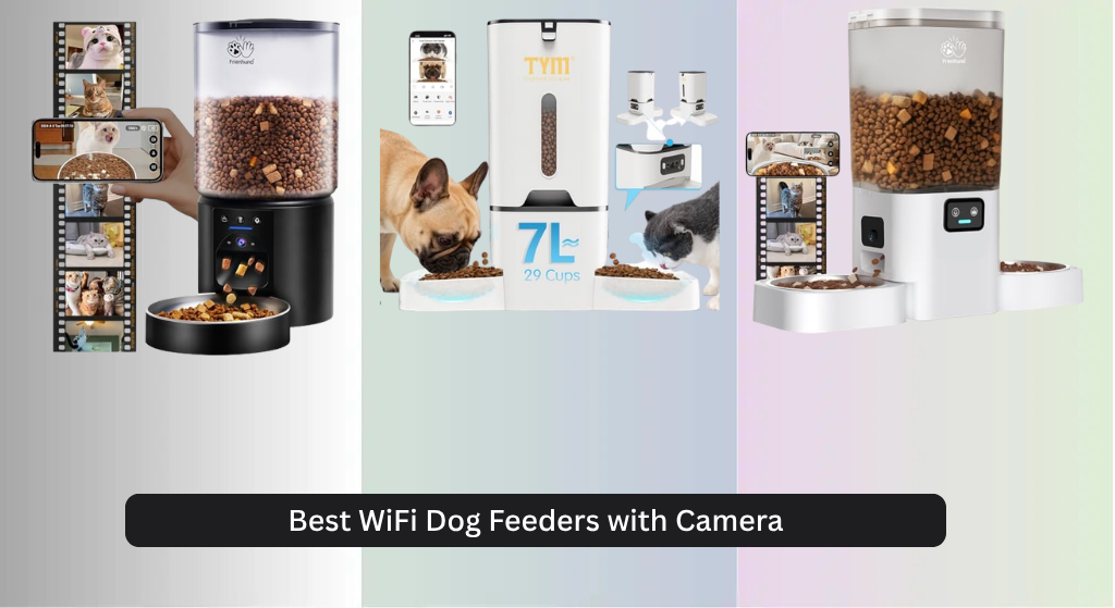 8 Best WiFi Dog Feeders with Camera 2026