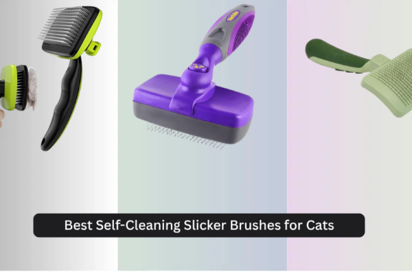 7 Best Self-Cleaning Slicker Brushes for Cats 2026