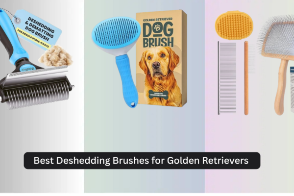 9 Best Deshedding Brushes for Golden Retrievers 2026