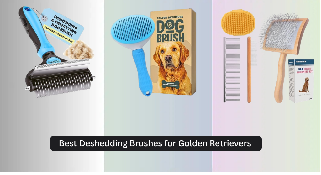 9 Best Deshedding Brushes for Golden Retrievers 2026
