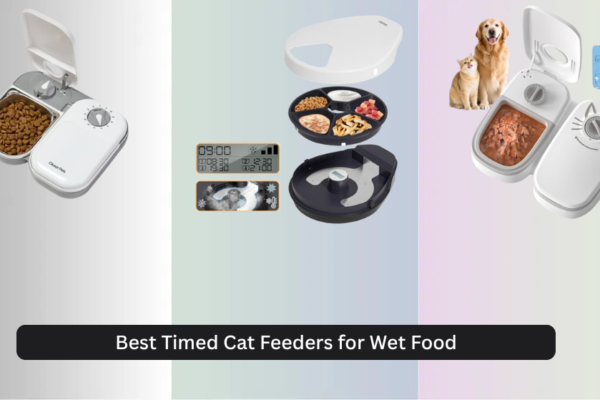8 Best Timed Cat Feeders for Wet Food 2026