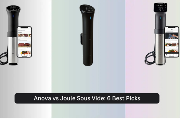 Anova vs Joule Sous Vide: 6 Best Picks 2026