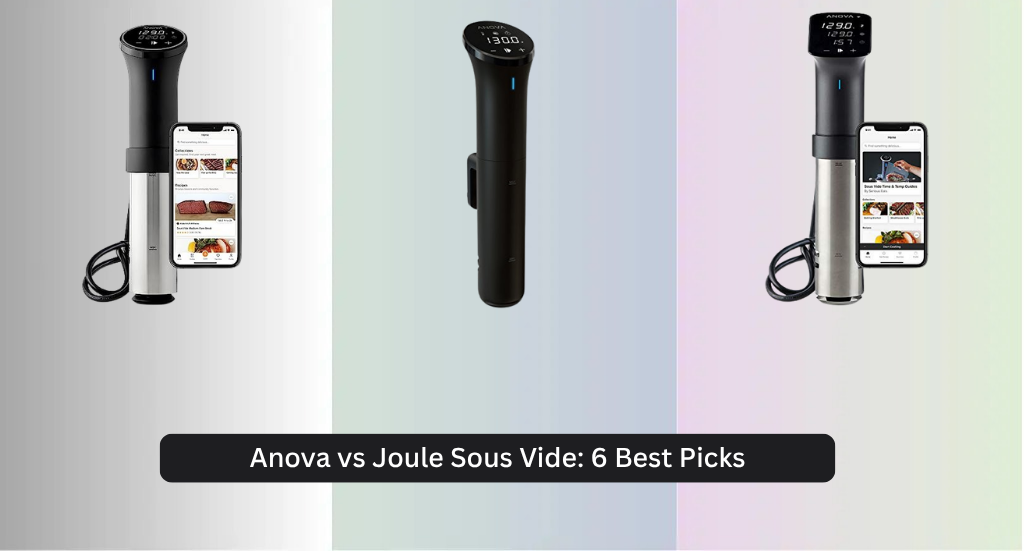 Anova vs Joule Sous Vide: 6 Best Picks 2026