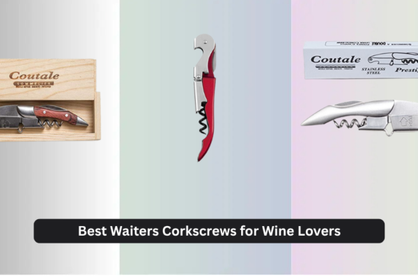 9 Best Waiters Corkscrews for Wine Lovers of 2026