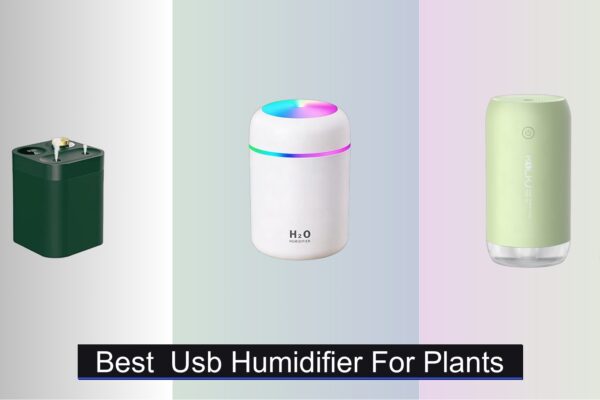 7 Best USB Humidifiers for Plants 2026